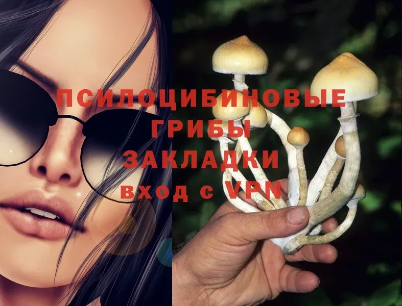 Псилоцибиновые грибы Magic Shrooms  Ладушкин 